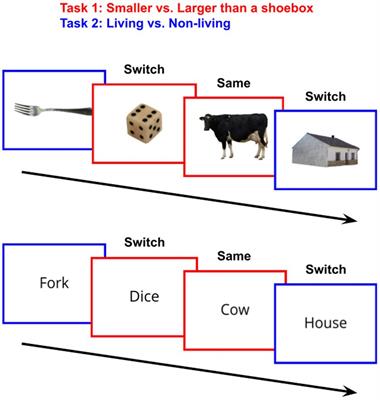 Effects of language background on executive function: Transfer across task and modality